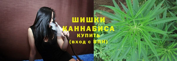дживик Майский