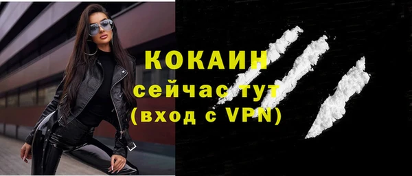 дживик Майский