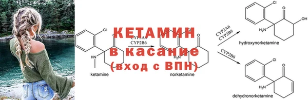дживик Майский