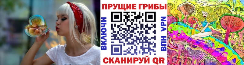Галлюциногенные грибы Cubensis  Староминская 